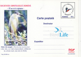 23920- BIRDS, BLACK CROWNED NIGHT HERON, POSTCARD STATIONERY, 2000, ROMANIA - Pelikanen