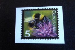 Canada - Bombus Polaris 5c - Y.T.   ?    - Oblitéré - Used - Gestempeld - Oblitérés