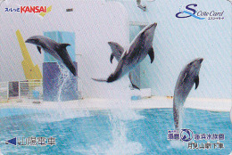 Rare Carte Prépayée Japon - DAUPHIN / Spectacle - DOLPHIN SHOW Japan Prepaid Card - DELFIN Karte - 582 - Dolfijnen