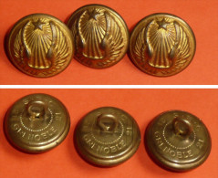 Rare Lot De 3 Boutons Anciens En Laiton Embouti, Militaria, Militaire, Bouton, Armée De L'Air Grenoble - Buttons