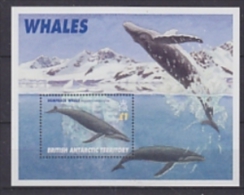 British Antarctic Territory 1996 Whales M/s  ** Mnh (23023) - Unused Stamps