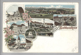 AK DE BW BAD SCHUSSENRIED 1901-08-25 Litho Gebr. Metz #5254 - Bad Schussenried