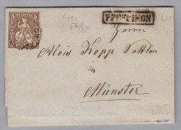 Heimat LU PFEFFIKON Langstempel Im Kasten 1865-08-20 Klein Brief Nach Münster - Briefe U. Dokumente