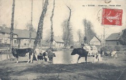 HAUTE NORMANDIE - 76 - SEINE MARITIME -TOTES - Abreuvoir - Ferme Aline - Totes