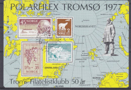 Norvège - Bloc Oblitéré - Valeur 15 Euros En .....1985 ! - Exposition Philatélique - Ours - Bateaux - Chiens - Blocs-feuillets