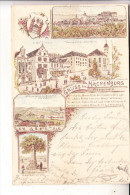 5238 HACHENBURG, Lithographie 5-teilig, Gasthof "Zur Krone", Grenzsäule, Marienstatt, Color, Frühe Karte - Hachenburg