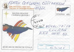 Rumania 1997 Cluj North Atlantic Right Whale Balaena Glacialis Postal Stationary Cover - Whales