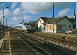 Cp Trains - 53 Mayenne - Rame TGV 312 En Gare SNCF De Le Genest - Cp N° 59 - Le Genest Saint Isle