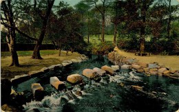 YORKS - SHEFFIELD - ENDCLIFFE WOODS - STEPPING STONES Ys62 - Sheffield