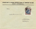 Religieux - Madonnes -  Hongrie - Lettre De 1922 ° - Oblitération Budapest - Expédié Vers La Suisse - Briefe U. Dokumente