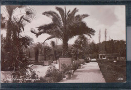 Bad Pyrmont - Palmengarten 1929 - Bad Pyrmont