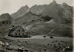 LE COL  D' AUBISQUE   LE GABIZOS  ET LA LETTE DE BAZEN       (VIAGGIATA) - Peyrehorade