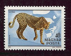 (CL 7 - P21) Hongrie ** PA N° 436 ( Ref. Michel Au Dos) - Guépard - - Nuevos