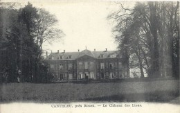 HAUTE NORMANDIE - 76 - SEINE MARITIME - CANTELEU Près Rouen - Château Des Lions - Canteleu