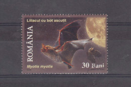 2006  - LILAS  Mi No 6105   Liliacul Cu Bot Ascutit - Usado