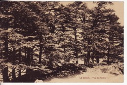 LE LIBAN - Vue Sur Les Cèdres - ARBRE - FORÊT  - VOIR 2 SCANS - - Libanon