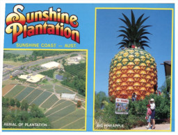(PH 200) Australia - QLD - Sunshine Plantation Big Pineapple - Sunshine Coast