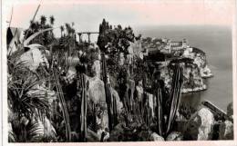 Monaco - Vue Des Jardins Exotiques - 2 Cartes (n° 603 +604) - Exotic Garden
