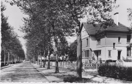 39 - TAVAUX CITÉS  Rue De La République  Maison Des Ingénieurs - Tavaux