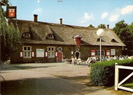 SCHOTEN-RIDDERSHOEVE-pub Coca-cola - Schoten