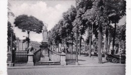 HOUTMARKT - Aalst