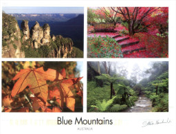 (PH 400) Australia - NSW - Blue Mountains Trees - Árboles