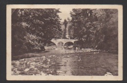 DF / 48 LOZÈRE / CHANAC / LE LOT AU PONT-VIEUX - Chanac