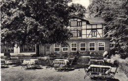 AK Ratzeburg I. Lbg. -Hotel Waldesruh - Ratzeburg