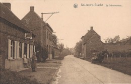 St-Lievens-Essche   De Schoonenberg - Herzele