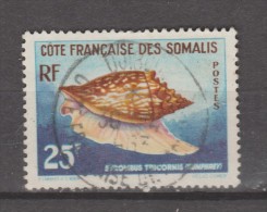 Cote Des Somalis 1962  Coquillage   N° 313 Oblitéré - Gebraucht