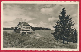 AK ´Todtnau / Todtnauberg' (LK Lörrach / Schwarzwald)  ~ Um 1965 - Todtnau