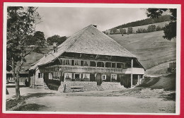 AK ´Todtnau / Todtnauberg´ (LK Lörrach / Schwarzwald)  ~ Um 1965 - Todtnau