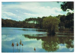 ANGLET - Le Lac De Chiberta - Cap 3433 - Circulée - Tbe - Anglet