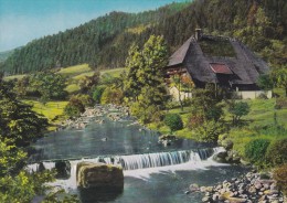 ALLEMAGNE---HOMBERG---Schwarzwald Bauernhaus---voir 2 Scans - Hornberg