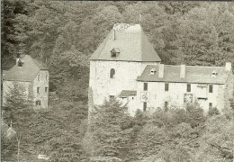 CP De REINHARDSTEIN BURG  ( Waimes ) - Weismes