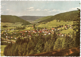 Baiersbronn - Ortsansicht 4 - Baiersbronn