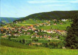 Baiersbronn - Ortsansicht 9 - Baiersbronn