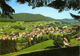 Baiersbronn Mitteltal - Ortsansicht 1 - Baiersbronn