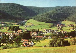 Baiersbronn Mitteltal - Ortsansicht 3 - Baiersbronn