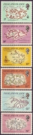 FALKLAND  -  GEOGRAPHY - MAPS  - 1981 - MNH** - Geography