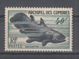 Comores  N° 13  Neuf ** - Unused Stamps