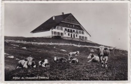 SAINT-IMIER - Hôtel Chasserai (1609m) - Carte écrite Timbrée - Saint-Imier 