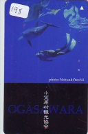 Télécarte JAPON * Plongée (198)  Phonecard JAPAN DIVING * CORAUX * CORAL * TAUCHEN * DUIKEN * OPENWATERDIVING PADI - Sport