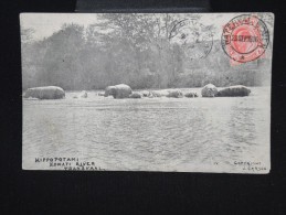 GRANDE - BRETAGNE - AFRIQUE DU SUD - Carte Postale Obl " Waterval Pour La France En 1906 - à Voir- Lot P8059 - Nueva República (1886-1887)