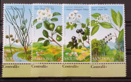 Moldova, 2004, Mi: 501/04  (MNH) - Plantes Médicinales