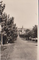 NOGARO-Vue Générale Du Cassou De Herre- - Nogaro