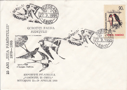 24231- SWALLOWS, BIRDS, SPECIAL COVER, 1995, ROMANIA - Zwaluwen