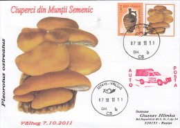 24260- MUSHROOMS, POST-CAR, SPECIAL COVER, 2011, ROMANIA - Mushrooms
