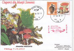 24261- MUSHROOMS, POST-CAR, SPECIAL COVER, 2011, ROMANIA - Mushrooms