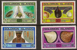 SOLOMON ISLANDS Shells - Conchas